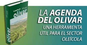 Aqui el texto que aparece cuando no sale la imagen